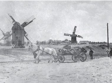 Німецькі колоністи на млину, ХIХ сторіччя